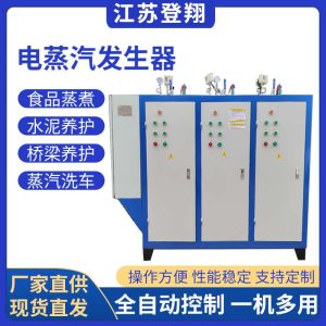 全自动电加热蒸汽发生器-工业桥梁锅炉食品蒸煮设备
