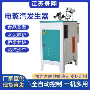 电加热蒸汽发生器-水泥养护食品蒸煮酿酒蒸汽锅炉