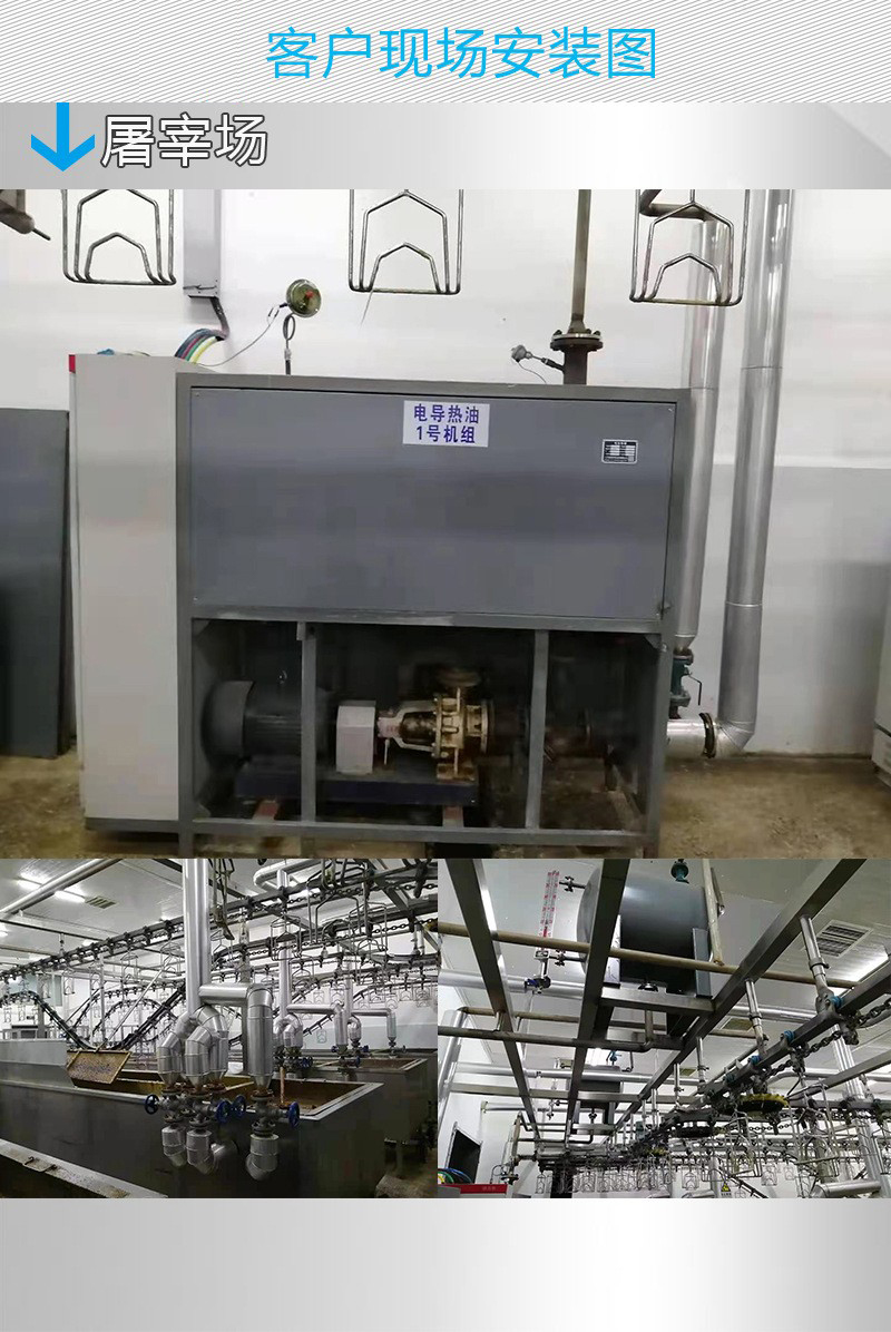 导热油炉应用场景实拍