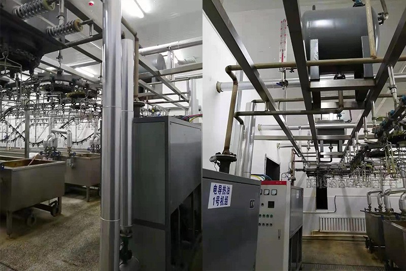 导热油炉应用场景实拍